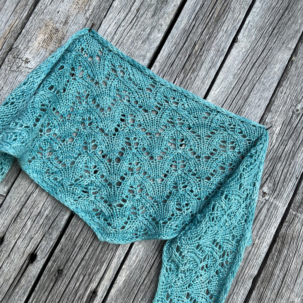The Lacy Shawl
