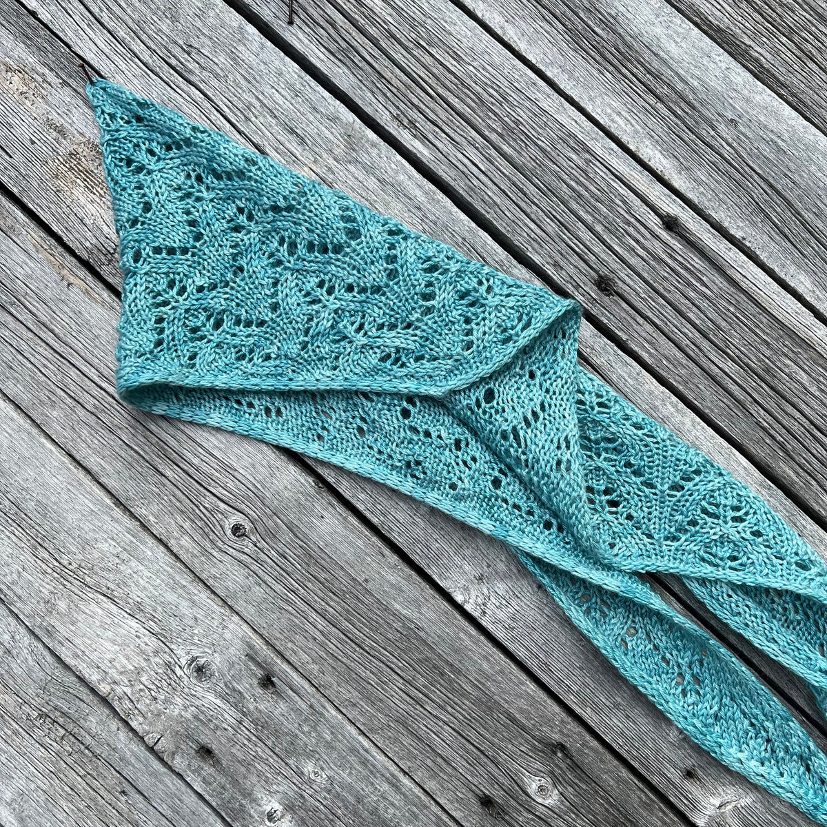 The Lacy Shawl