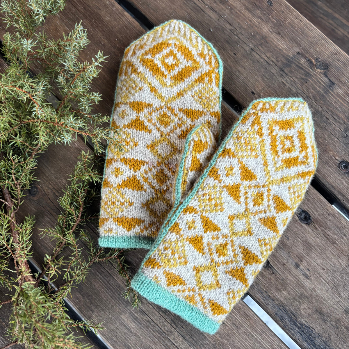 Mystery mittens 2025